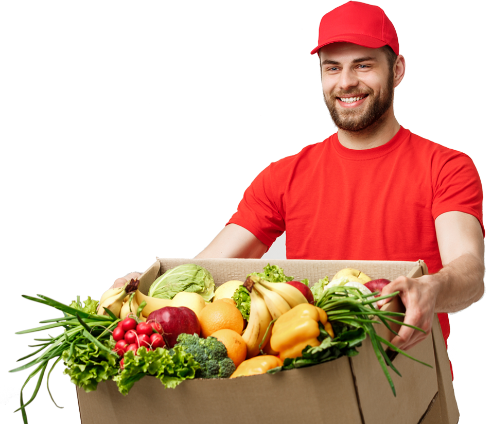 online grocery delivery startup