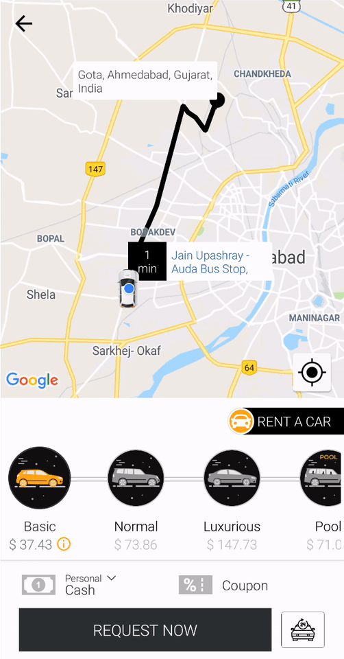 rent a car option