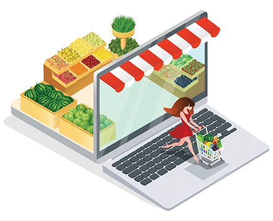 web panel of grocery delivery app