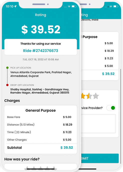 invoice summary