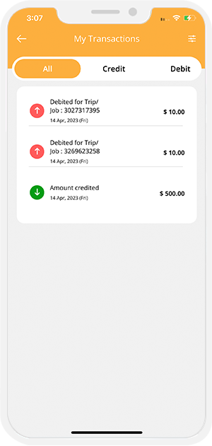 My Recent Transaction