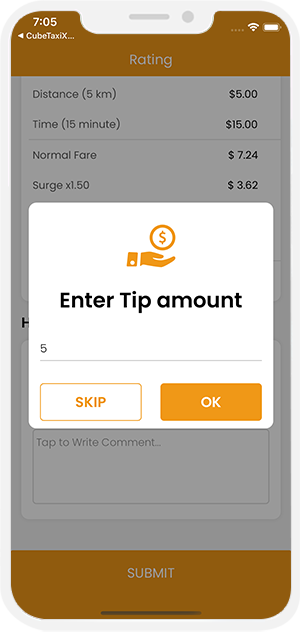 enter tip amount