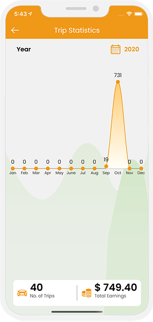 trip and earning statistics