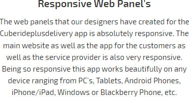 Responsive Web Panel