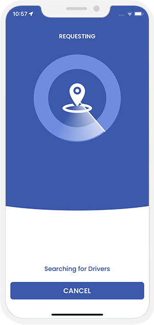 sending request to provider
