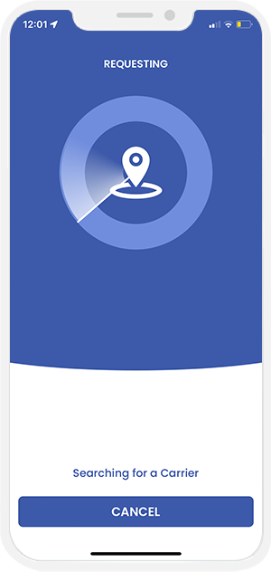 sending request to provider